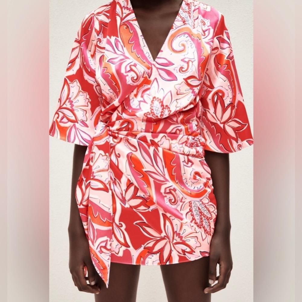ZARA the Carla dress